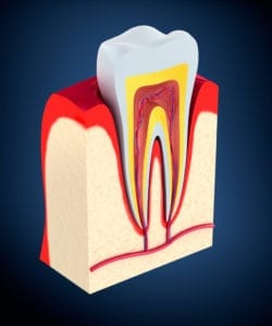 Periodontal Therapy in Manhattan, NY
